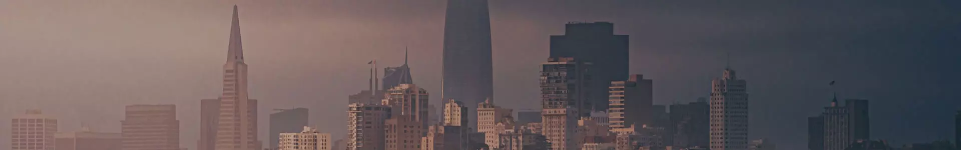 搜索结果